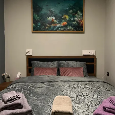 The South In Old Town 아파트