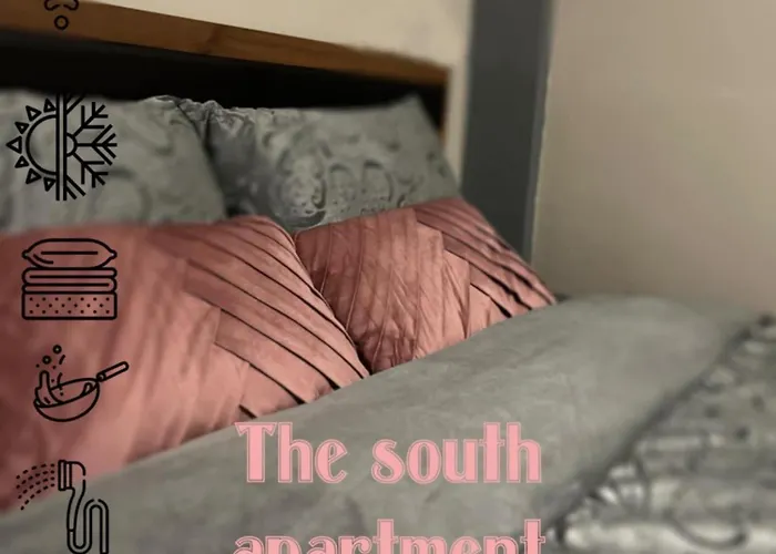 The South In Old Town 公寓